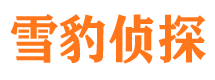 武胜寻人公司